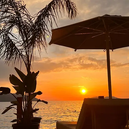 Hotel Kristera Kanine